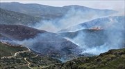 Σε ύφεση η πυρκαγιά στην Άνδρο
