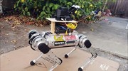 Ο πρώτος ρομπο-σκύλος οδηγός ατόμων με προβλήματα όρασης