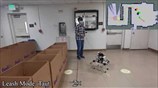 Robotic Guide Dog: Leading a Human with Leash-Guided Hybrid Physical Interaction