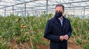 Σε 400 εκατ. ευρώ ο προϋπολογισμός του νέου Μέτρου για τις βιολογικές καλλιέργειες