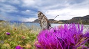 Ανοιξιάτικος καιρός σε όλη τη χώρα