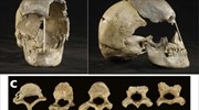 Οι Homo sapiens είχαν σεξουαλικές επαφές με τους Homo neanderthalensis στην περιοχή της Ευρώπης