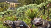 Ανακαλύφθηκε άγνωστο θηλαστικό που ζούσε μαζί με τους δεινόσαυρους