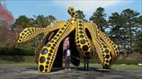 New York exhibition celebrates Japanese artist Yayoi Kusama