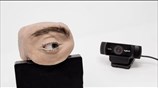 New generation of webcam? The human eye webcam