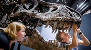 Αποκαλύφθηκε το μυστικό για τις τρομερές δαγκωνιές του Τυραννόσαυρου ρεξ