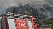 Λαύριο: Έσβησε η πυρκαγιά σε δασική έκταση