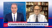 Ν. Σύψας: Από Σεπτέμβριο χωρίς μάσκες - Το 2022 οριστικό τέλος του ιού