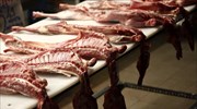 Πάνω από 6.600 έλεγχοι για την αποτροπή ελληνοποιήσεων αμνοεριφίων το Πάσχα