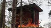 Σουηδία: Σύστημα φωτισμού σε δάσος που μιμείται πυρκαγιά