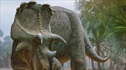Ανακαλύφθηκε άγνωστος δεινόσαυρος με μεγάλα κέρατα