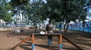 Στο ΣτΕ κάτοικοι της Ν.Σμύρνης κατά πάρκου αναψυχής σκύλων του Δήμου