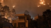 Φωτιά στον Σχίνο: Ποιές περιοχές εκκενώθηκαν - Ν. Χαρδαλιάς: «Θα είναι μια δύσκολη βραδιά»