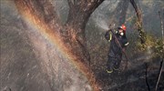 Σε ύφεση η πυρκαγιά στα Γεράνεια Όρη, αναφέρει η Πυροσβεστική