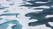Η «Ατλαντικοποίηση» απειλεί την Αρκτική