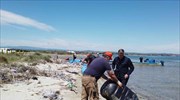 ΠΕ Κ. Μακεδονίας: 400 πλαστικά βαρέλια και 15 τόνοι πλαστικά δίκτυα απομακρύνθηκαν από το βυθό