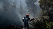 Δασική πυρκαγιά στην Ανατολική Μάνη