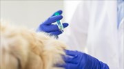 Ρωσία: Άρχισε ο εμβολιασμός ζώων κατά του κορωνοϊού