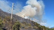 Καλαμάκι Κορινθίας: Η φωτιά έφτασε στα σπίτια - Εκκενώθηκε η περιοχή