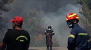 Καλαμάκι Κορινθίας: Οριοθετήθηκε η πυρκαγιά - Δεν έχουν αναφερθεί ζημιές σε σπίτια