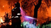 Νίκαια Αττικής: Οριοθετήθηκε η πυρκαγιά σε δασική έκταση στην Άνω Νεάπολη