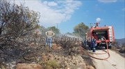Υπό έλεγχο τέθηκε η φωτιά σε δασική έκταση στην Αίγινα