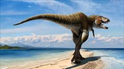 Πόσο επικίνδυνοι ήταν οι ανήλικοι Τυραννόσαυροι;