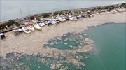 Τουρκία: Ο υπ. Περιβάλλοντος δεσμεύτηκε να καθαρίσει την Θάλασσα του Μαρμαρά από τη «θαλάσσια βλέννα»