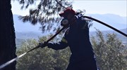Υπό μερικό έλεγχο η πυρκαγιά στην περιοχή Δρυμώνα Ελυμνίων Εύβοιας