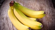 Πολωνία: Μπανάνες με 160 κιλά κοκαΐνης βρέθηκαν σε αλυσίδα σουπερμάρκετ