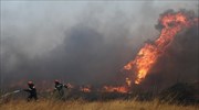 Πύρινα μέτωπα σε Εύβοια και Σέρρες