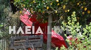 Ηλεία: Νεκροί, πιλότος και επιβάτης του μονοκινητήριου που έπεσε στην περιοχή Χαριάς