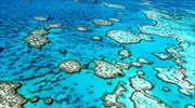 Καμπανάκι κινδύνου της Unesco για τον Μεγάλο Κοραλλιογενή Ύφαλο
