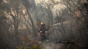 Ροδόπη: Πυρκαγιά στα Πετρωτά