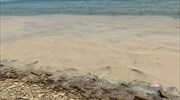 Τα θαλάσσια ρεύματα καθαρίζουν τις παραλίες της Λήμνου από τη βλέννα