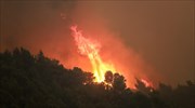 Αστεροσκοπείο: Κίνδυνος για δασικές πυρκαγιές λόγω επιδείνωσης των πυρομετεωρολογικών συνθηκών