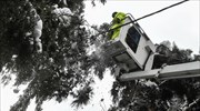 Κηφισιά: Σε λίπασμα μετατράπηκαν τα κλαδιά από τις καταστροφές της «Μήδειας»