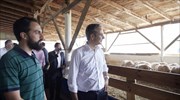 Καβάλα: Πρότυπη μονάδα αιγοπροβάτων επισκέφθηκε ο πρωθυπουργός