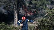 Υπό έλεγχο  η πυρκαγιά  στο Συκάμινο Ωρωπού