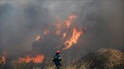 Κύπρος: Εκτός ελέγχου φωτιά σε 8 «μέτωπα» - Ενεργοποίηση του Εθνικού Σχεδίου «Ήφαιστος»