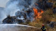 Κεφαλονιά: Ολονύχτια μάχη με τις φλόγες - Ενισχύονται οι πυροσβεστικές δυνάμεις