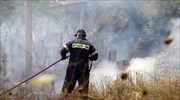 Φωτιά σε εξέλιξη στη Χιόνα Αχαΐας