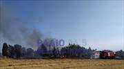 Μηχανιώνα: Υπό μερικό έλεγχο η πυρκαγιά στην περιοχή του Αγγελοχωρίου