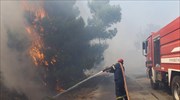 Πυρκαγιά στην Ανάβυσσο - Εκκενώνεται οικισμός