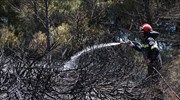 Οριοθετήθηκε η φωτιά  στην Ανάβυσσο - Στα σπίτια τους οι κάτοικοι