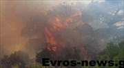 Έβρος: Σε ελεγχόμενα πλαίσια η φωτιά στη Λευκίμη