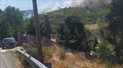 Βαρνάβας-Ελευσίνα: Διακοπές κυκλοφορίας, ενισχύονται οι δυνάμεις πυρόσβεσης