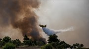 Πυρκαγιά έκταση στα Διαβατά και στον Βαθύλακκο Θεσσαλονίκης