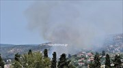 Βόλος: Φωτιά περιμετρικά της πόλης
