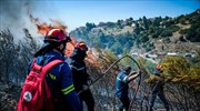 Βελτιωμένη η εικόνα της πυρκαγιάς στα Στύρα
